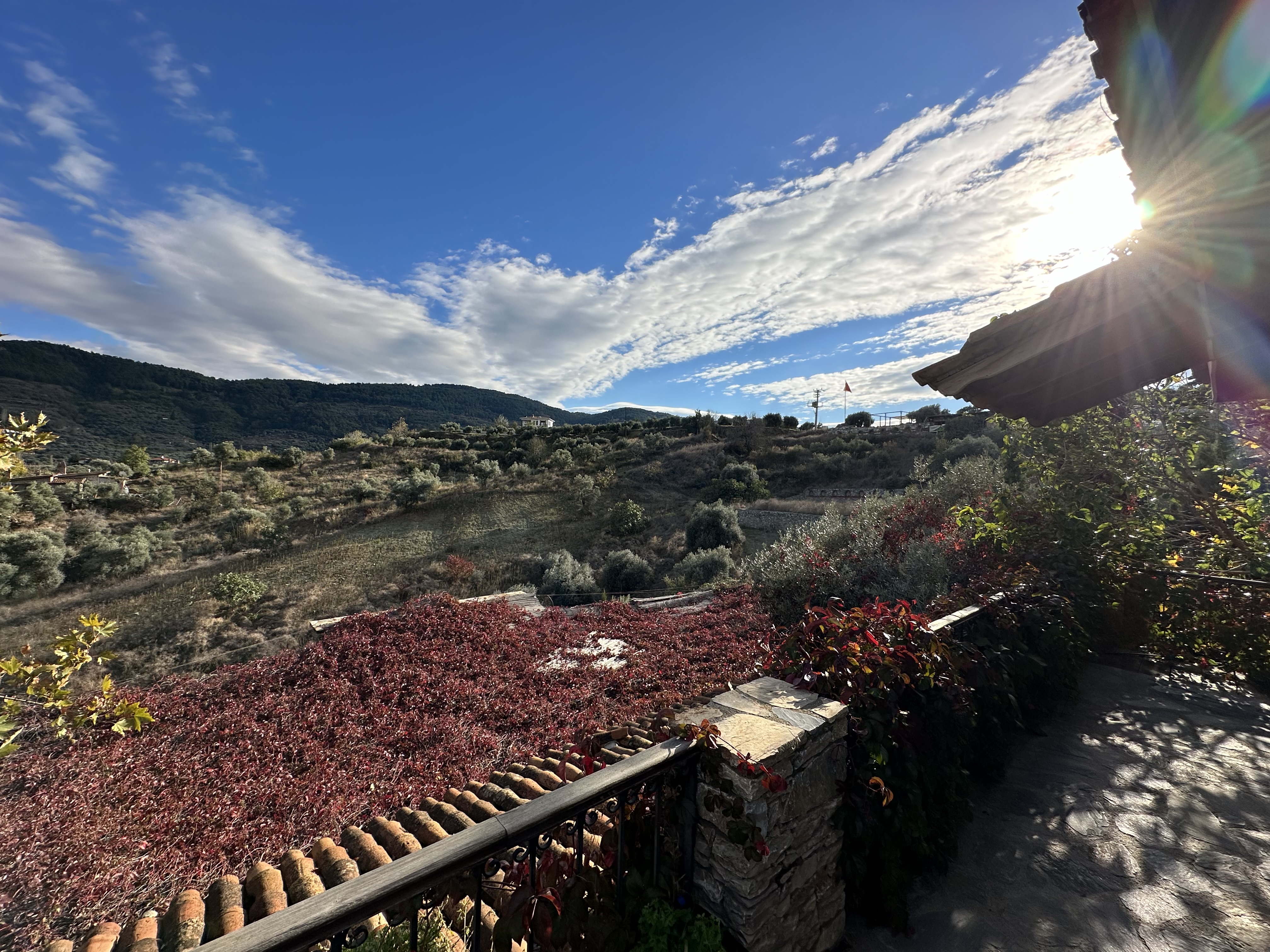 The view outside a participant's room